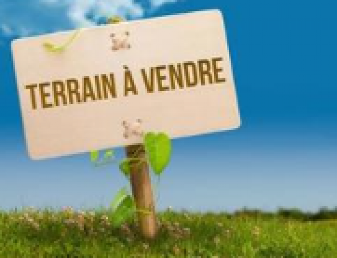 Offres de vente Terrain agricole Montsinéry-Tonnegrande (97356)